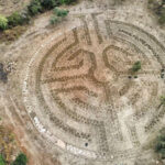 Rose Labyrinth