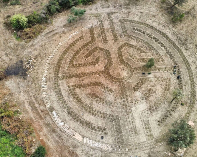 Rose Labyrinth